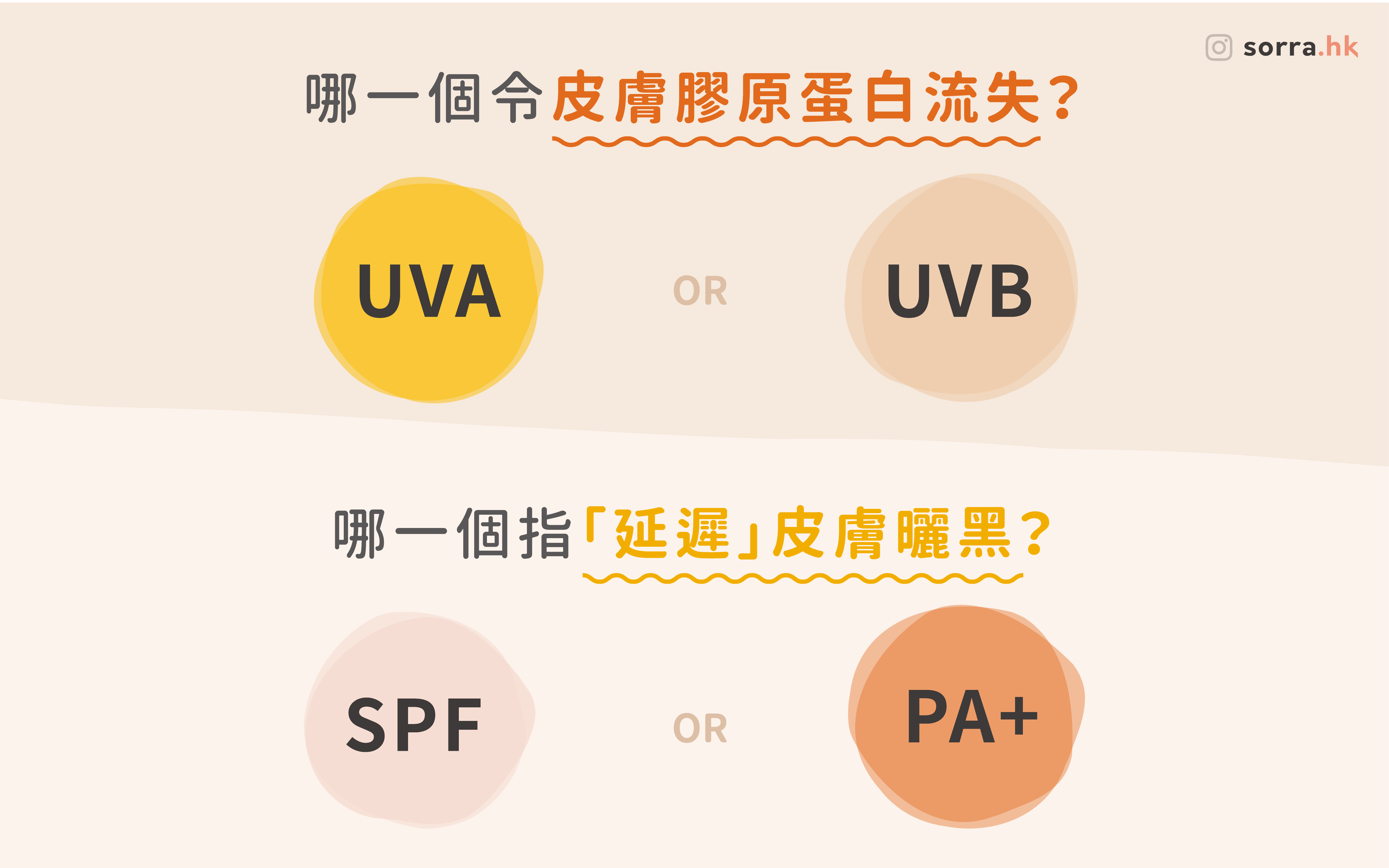 【UVA、UVB、SPF、PA+ 傻傻分不清楚？】⁣