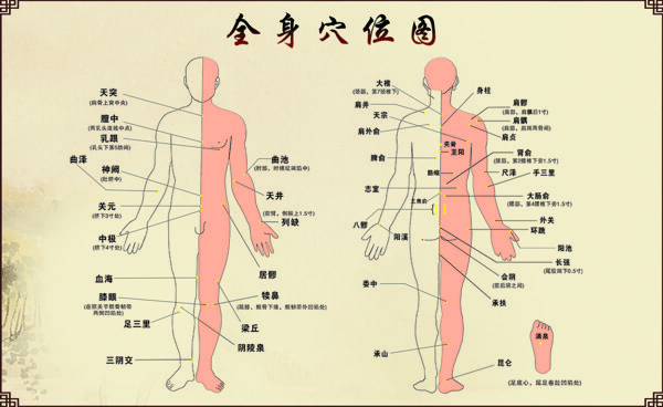人的穴位有幾個？