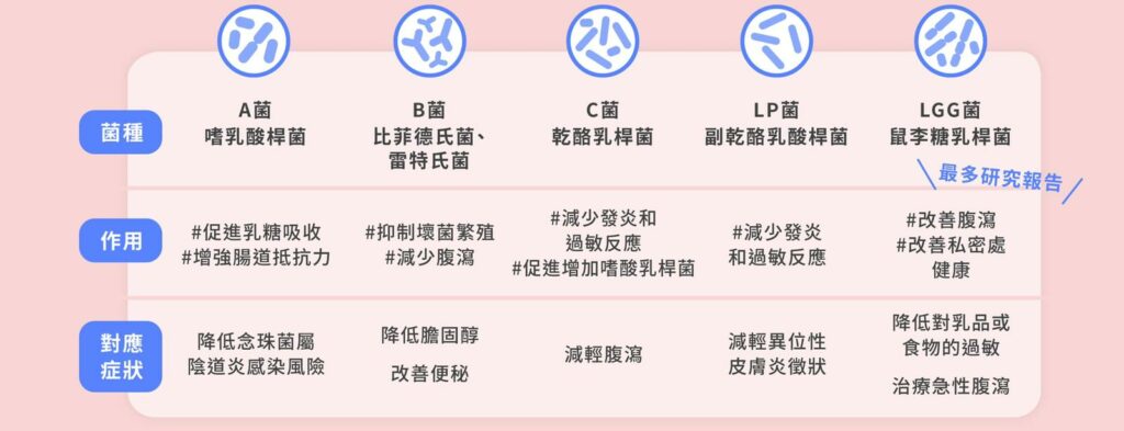 常見益生菌種作用