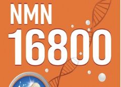 NMN 16800