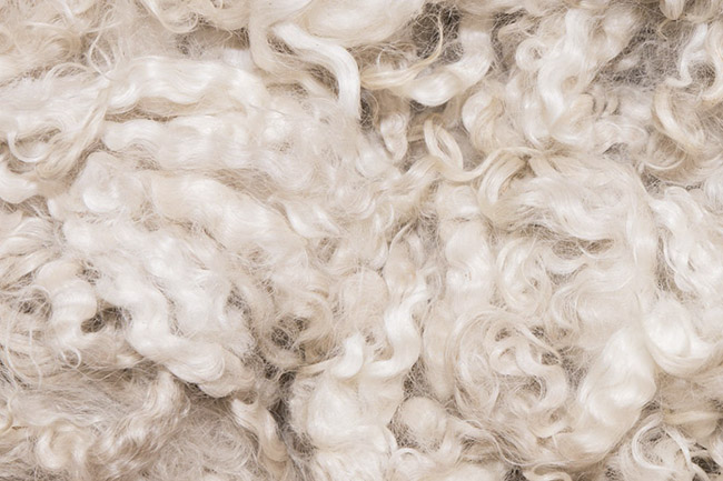 羊毛脂（Lanolin）