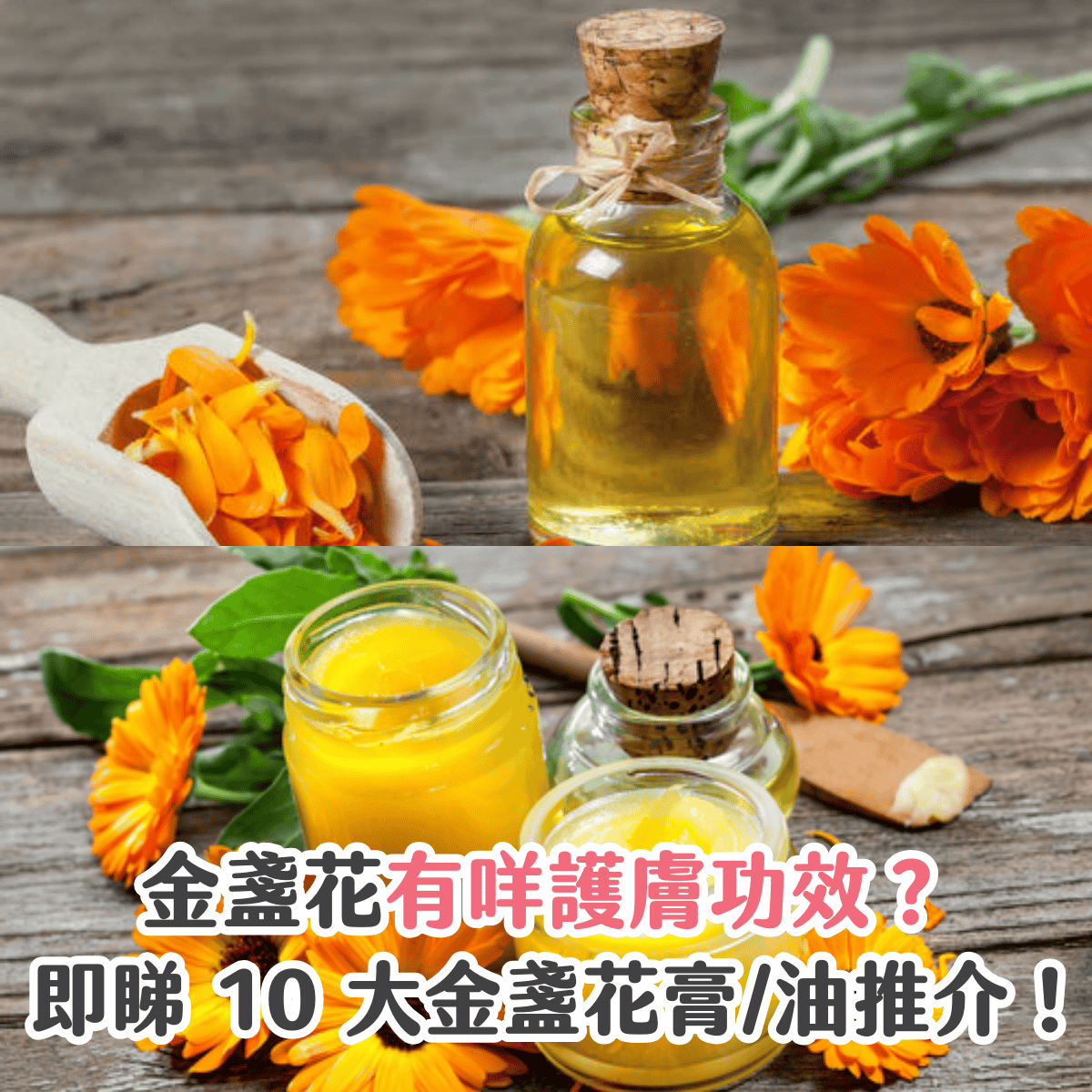 【金盞花功效】10大金盞花膏/油推介！了解皮膚功效及副作用