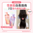 【#sorra產品搜查隊】受損髮自救指南 7日髮の修復計劃！