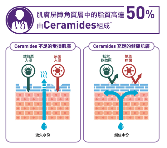 A 醇新手推薦｜3 款熱門價錢比較  拆解 CeraVe 紫色 A 醇精華成分 ＋敏感肌護膚教學